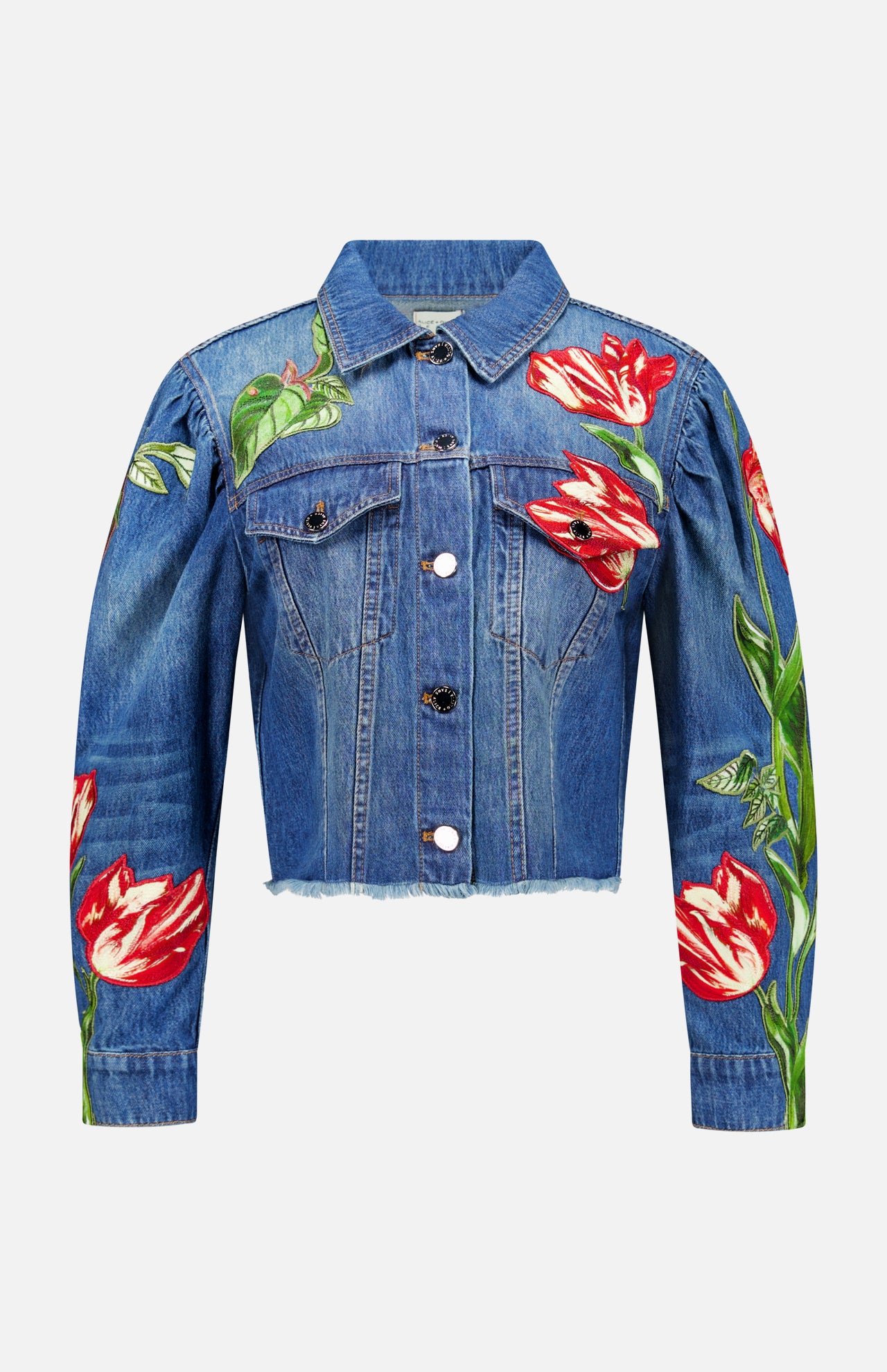 Elijah Embellished Applique Cropped Denim Jacket