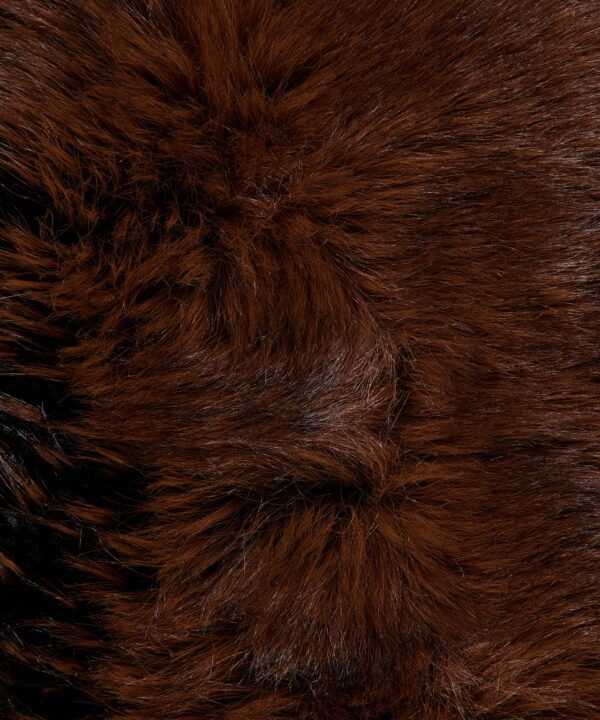 Alternative view of The Fox Collar