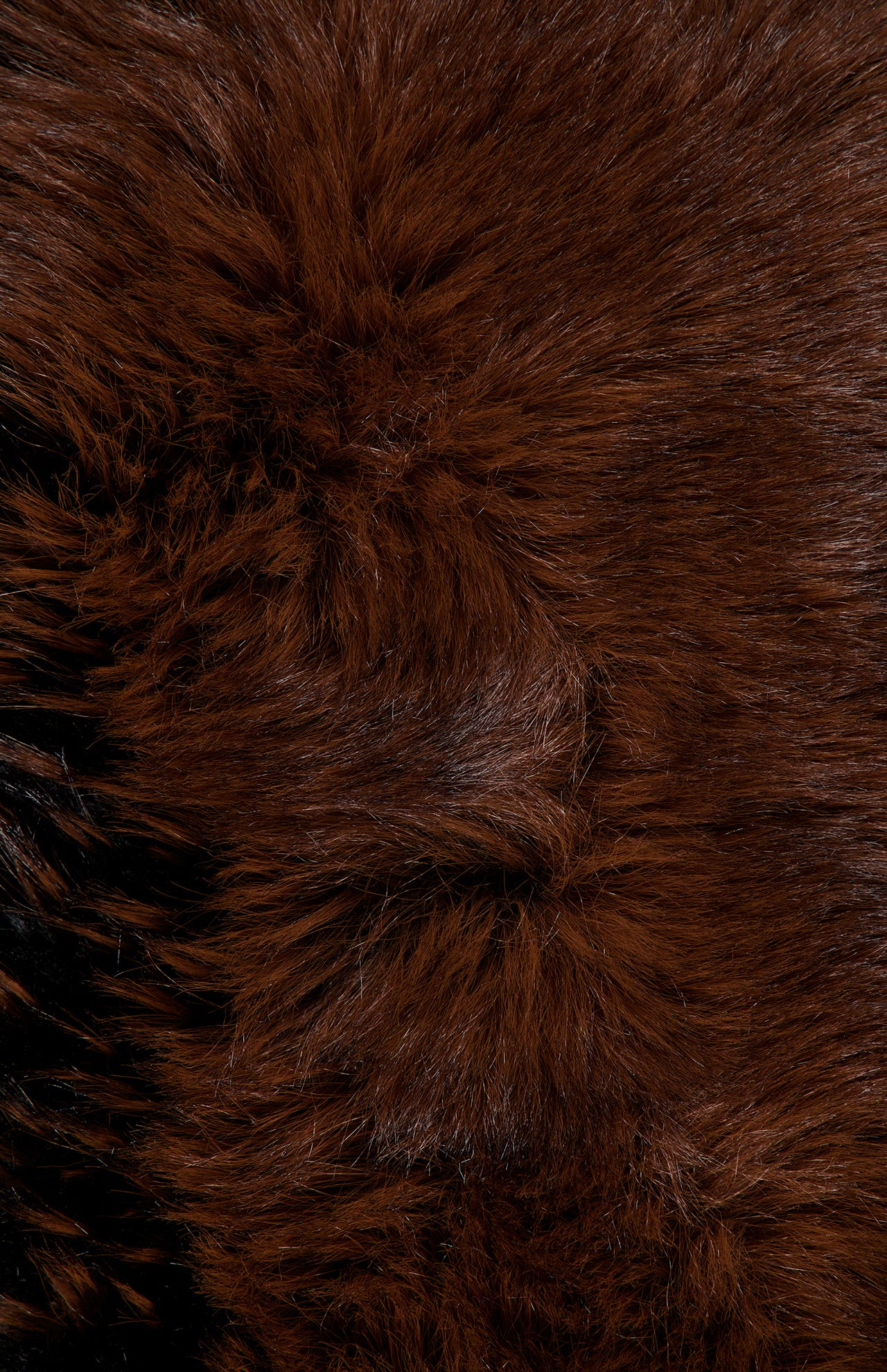 The Fox Collar - Image 2