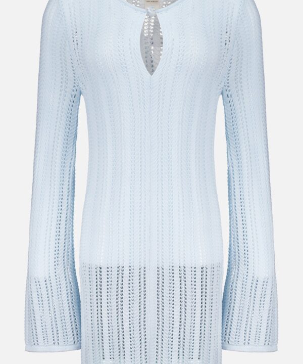 Lion Sheer Stone Mini Dress