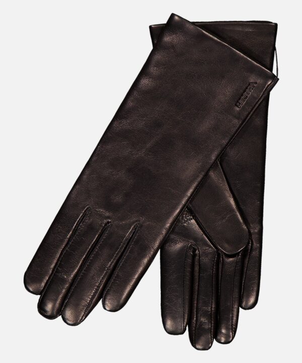 Elisabeth Glove