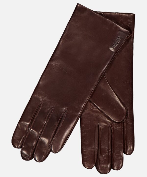 Elisabeth Glove