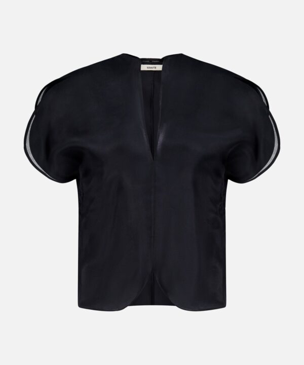 Briar Notch Neck Silk Blouse