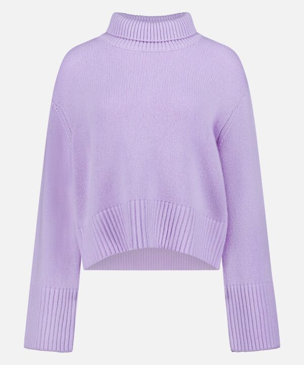 Fleur Cashmere Turtleneck Sweater