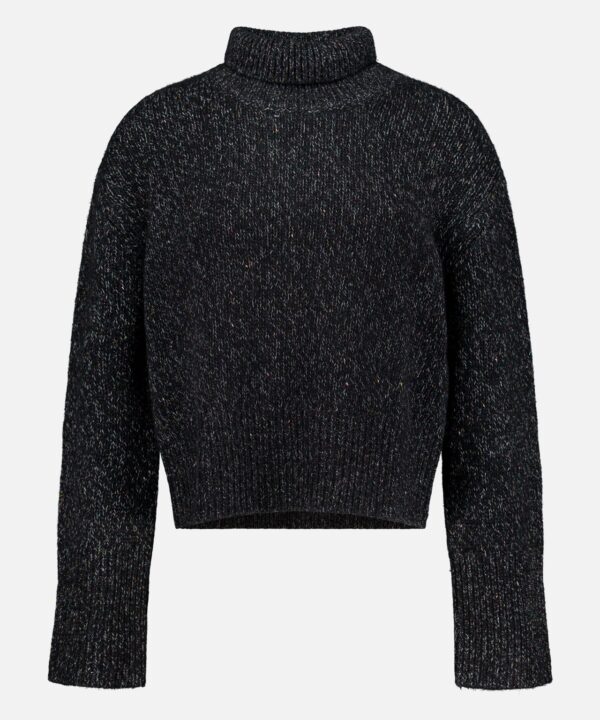 Femi Sparkle Turtleneck Sweater