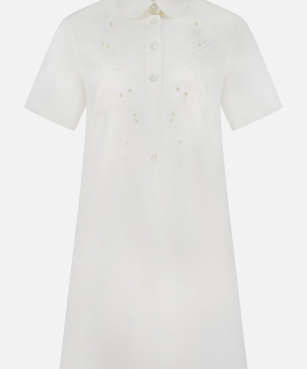 Embroidered Mini Dress