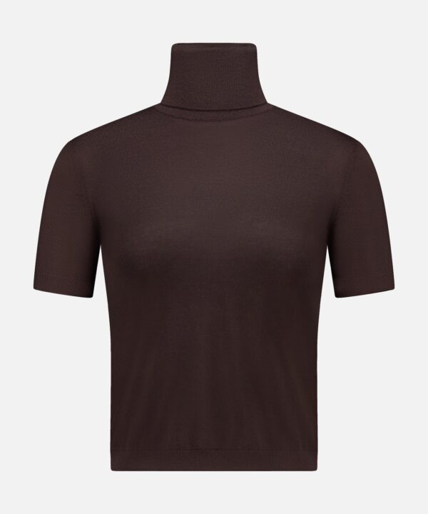 Cashmere Jersey Turtleneck Short Sleeve Sweater