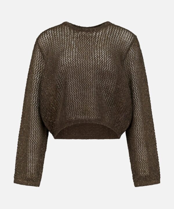Metallic Mesh Boatneck Long Sleeve Pullover