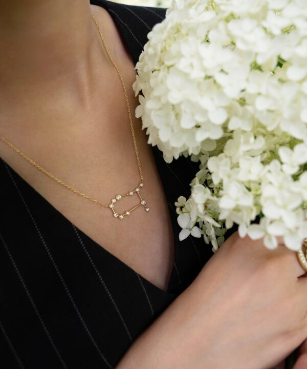 Gemini Diamond Constellation Necklace - Image 4
