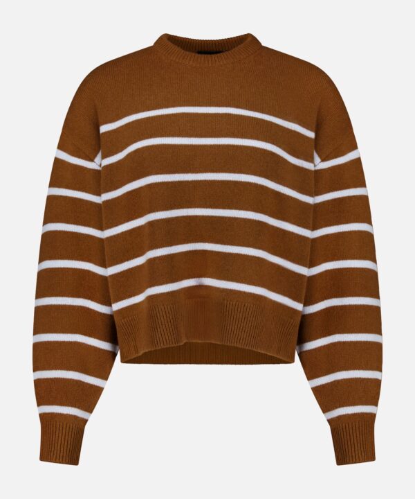 Cashmere Crewneck Pullover Sweater