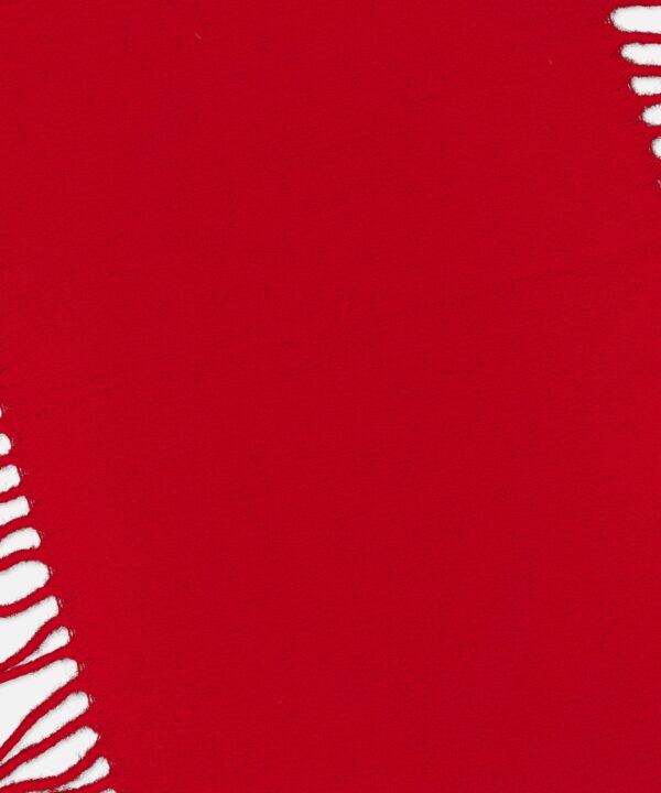 Alternative view of Wool and Cashmere Tassel Scarf