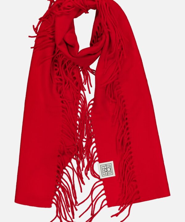 Wool and Cashmere Tassel Scarf