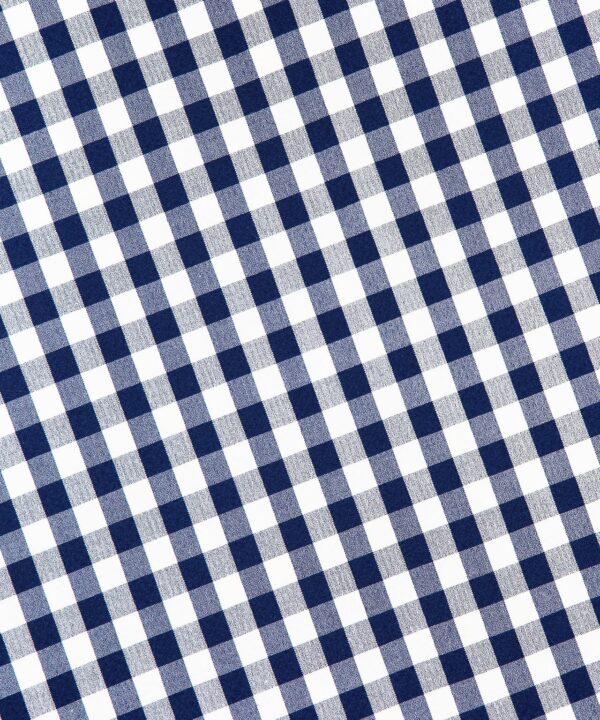 Alternative view of Aila Gingham Seersucker Dress